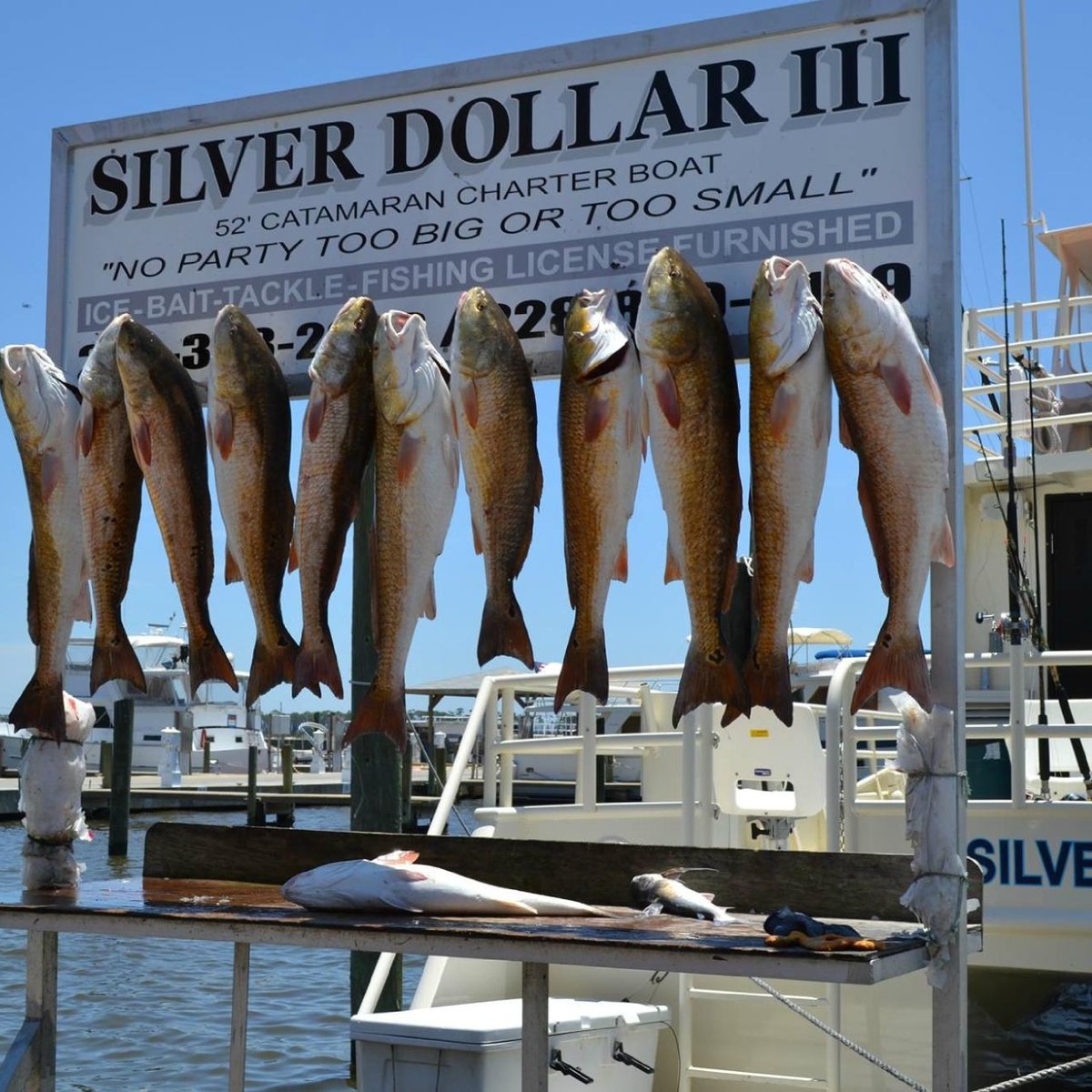 Biloxi Charter Fishing All You Need to Know BEFORE You Go