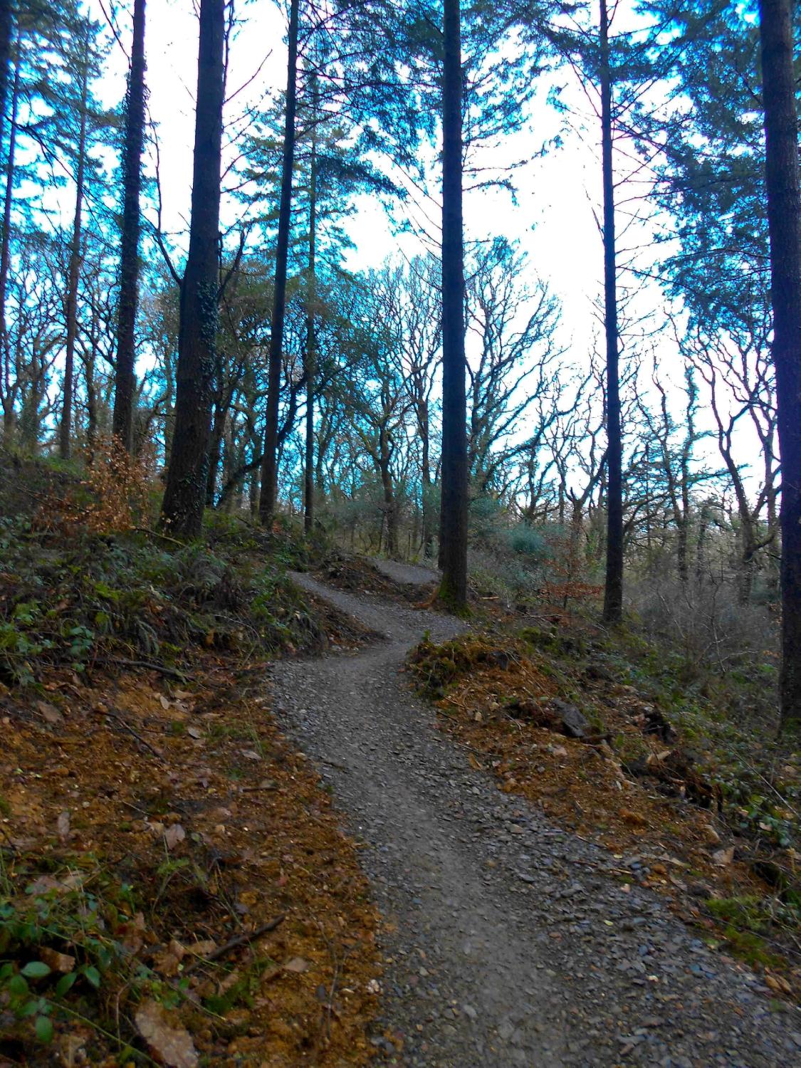 Lanhydrock bike hot sale trails