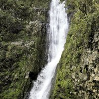 Halawa Falls (Molokai) - All You Need to Know BEFORE You Go