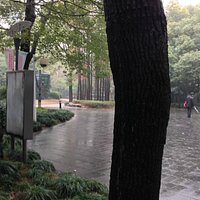People's Park Near Mocca Museum
