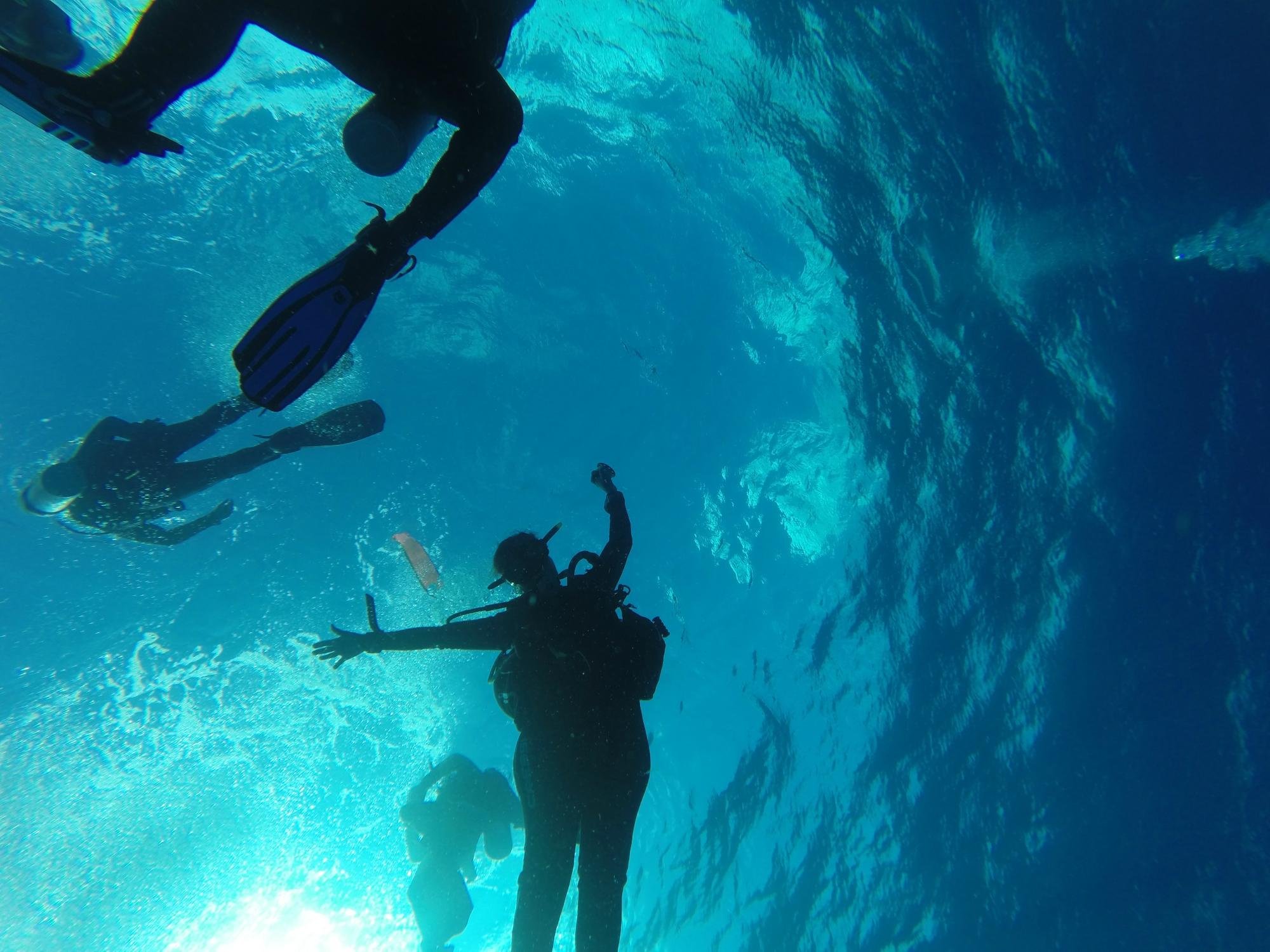 bull sharks diving center playa del carmen