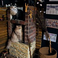 Один из хранителей Музея - персидская кошка Мэри