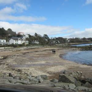 MILLBRAE HOUSE - B&B Reviews (Rockcliffe, Scotland)