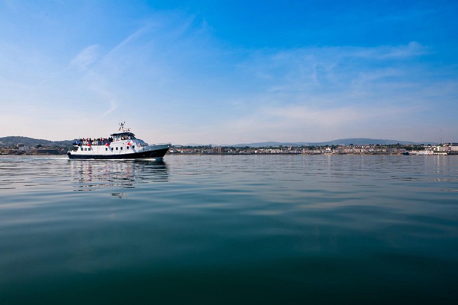dublin bay cruises jobs