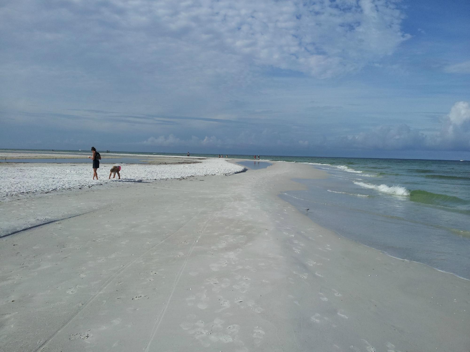 Hotel photo 1 of Spark by Hilton Sarasota Siesta Key Gateway.