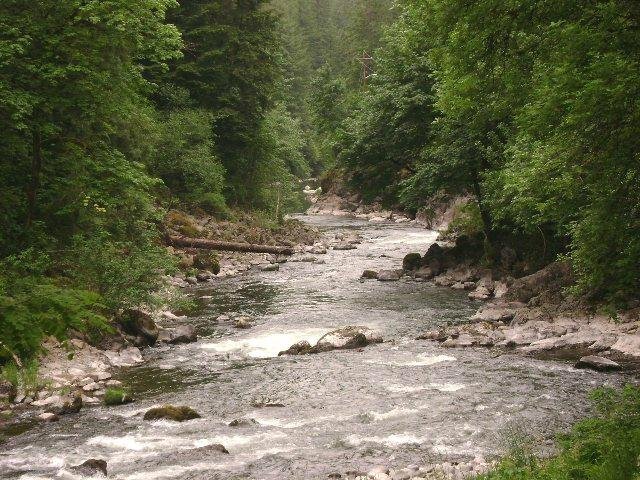 Washougal River (Oregon) - Lohnt es sich? Aktuell für 2024 (Mit fotos)