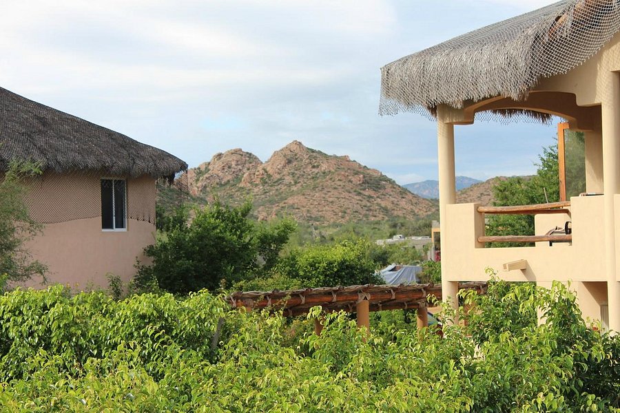 CABO PULMO CASAS - Prices & Ranch Reviews (Mexico) - Tripadvisor