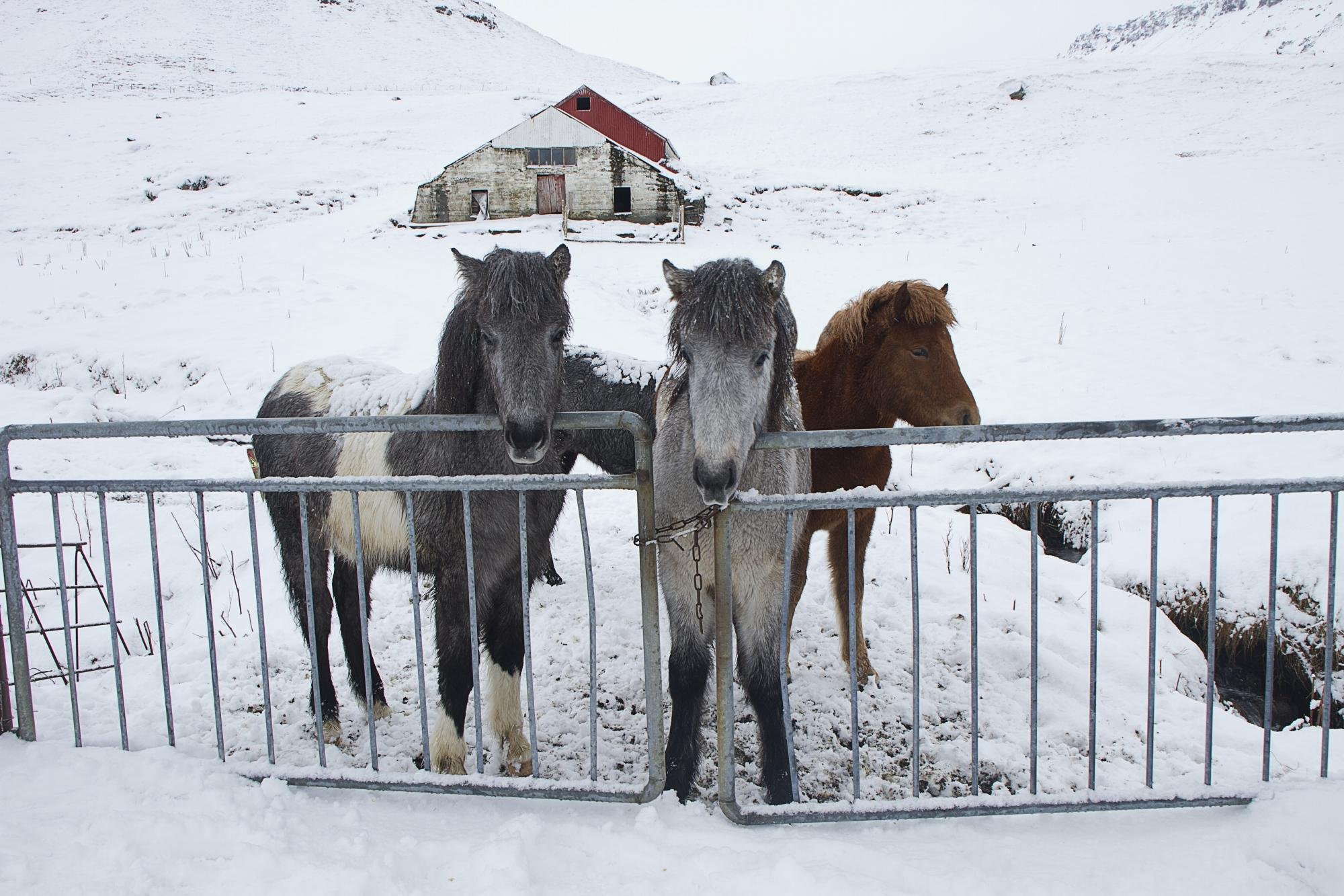 Iceland Guided Tours All You Need to Know BEFORE You Go (2024)