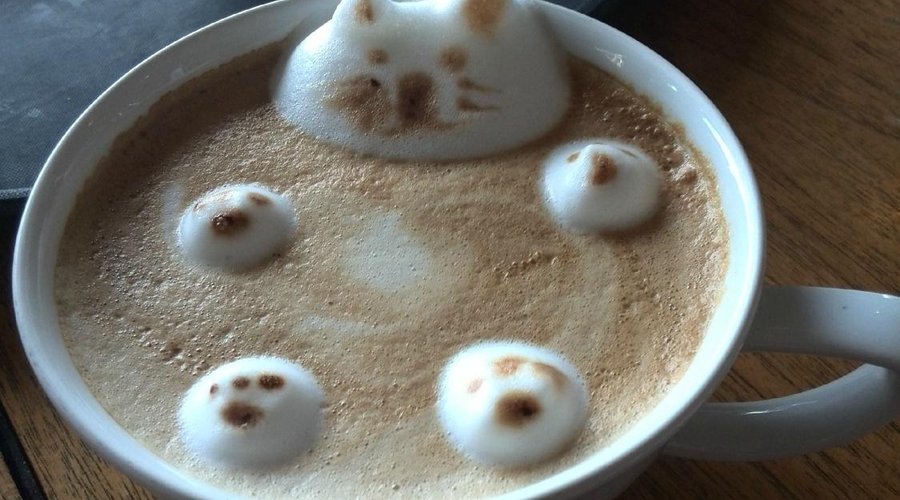 Latte Art at Miramonte -Floating Cat-