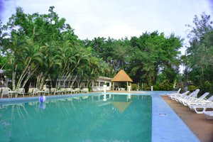 Pool & Beach