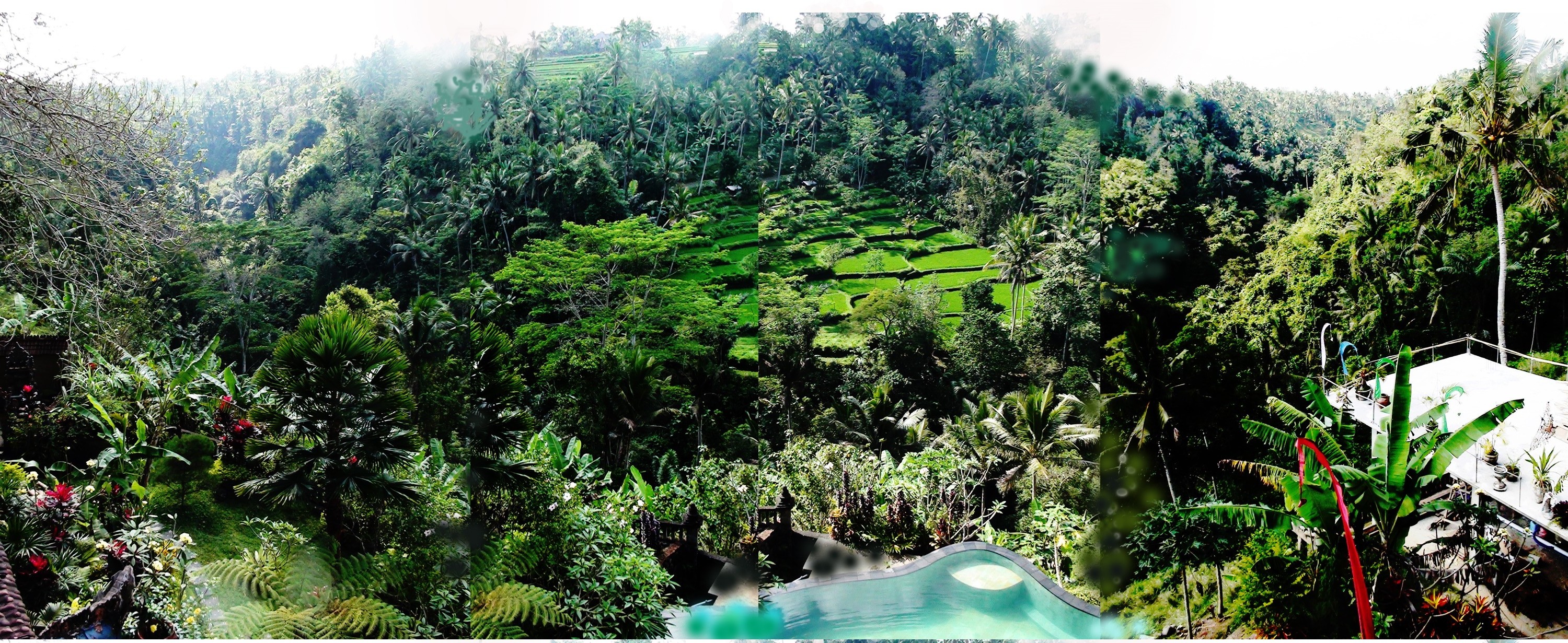 TIRTA ASRI VILLA - Updated 2024 Prices & Guest House Reviews (Ubud, Bali)