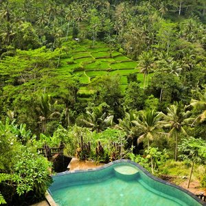 pool view