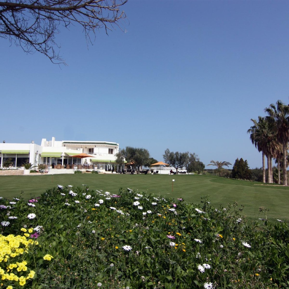 Flamingo Golf Course Monastir, Монастир: лучшие советы перед посещением -  Tripadvisor