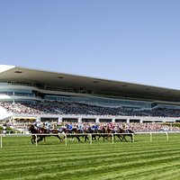 The stately Arlington International