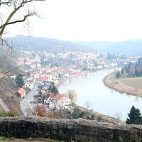Sicht auf Neckarsteinach