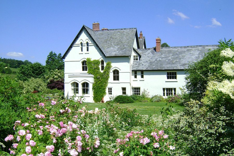 Guest country. Ньютаун Великобритания фото. Newtown. Forest Country House. Newtown Britain.