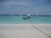 Travelbug462