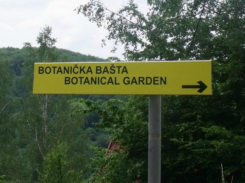 Dulovina Botanical Garden image
