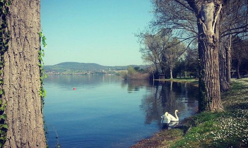 Primavera al PdL