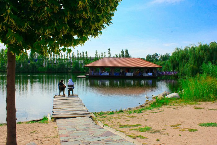 Алтынколь. Алтын коль. Алтын коль пляж. Altyn Eco Park. Пансионат Алтын коль.