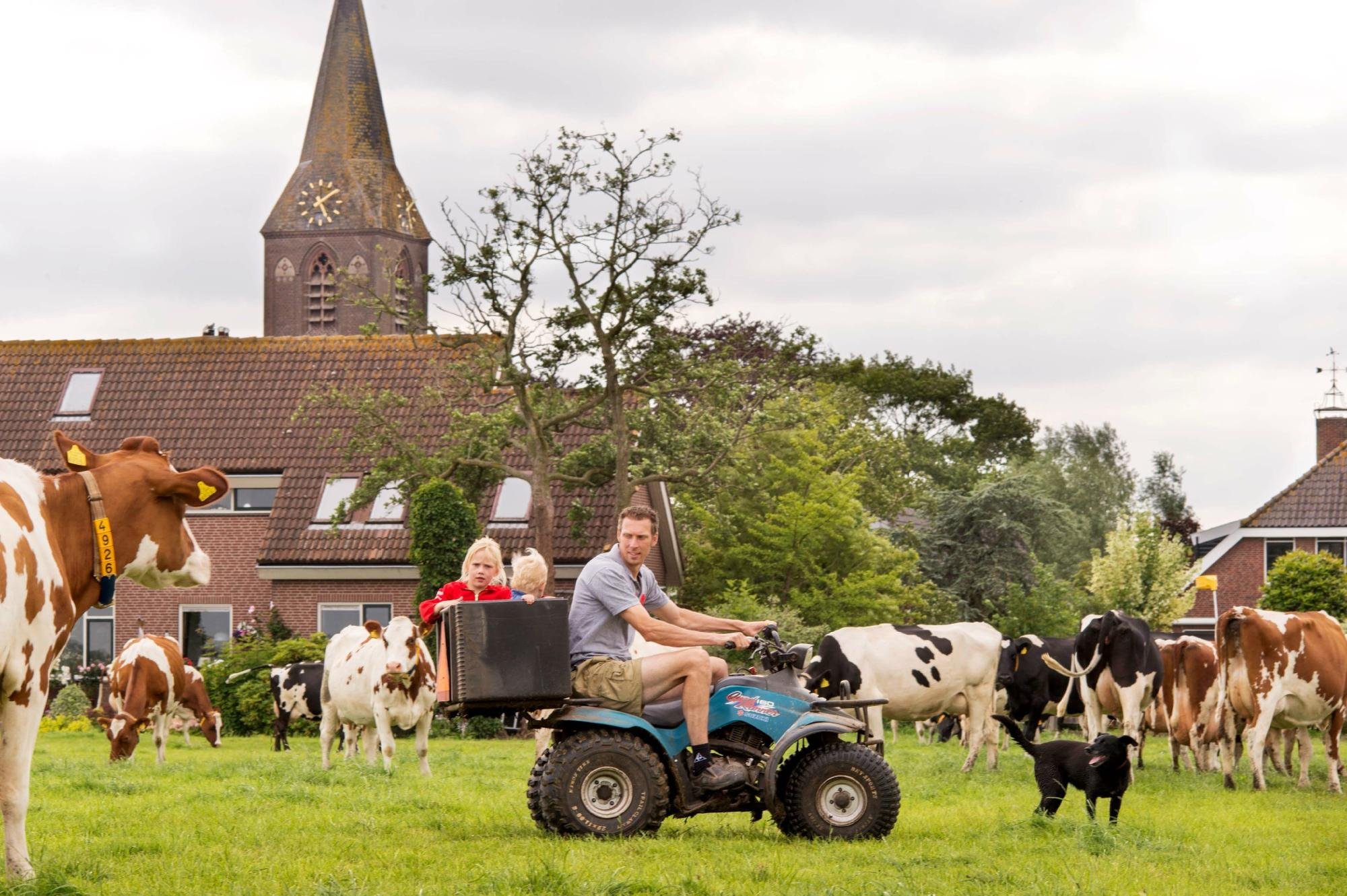 FarmCamps ‘t Oortjeshek image