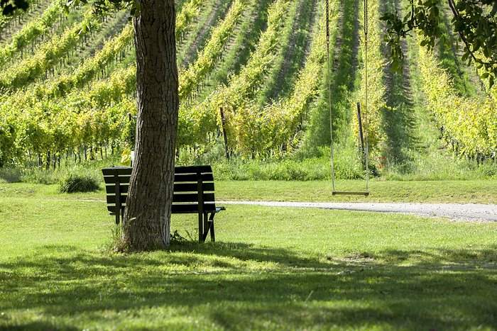 Weingärten laden zum relaxen ein