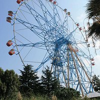 Колесо обозрения - вид из парка