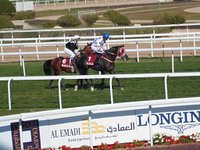 Qatar Racing Club - All You Need to Know BEFORE You Go (with Photos)