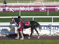 Qatar Racing Club - All You Need to Know BEFORE You Go (with Photos)