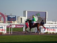 Qatar Racing Club - All You Need to Know BEFORE You Go (with Photos)