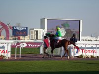 Qatar Racing Club - All You Need to Know BEFORE You Go (with Photos)