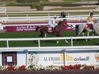 Qatar Racing Club - All You Need to Know BEFORE You Go (with Photos)