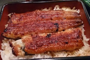 料理
