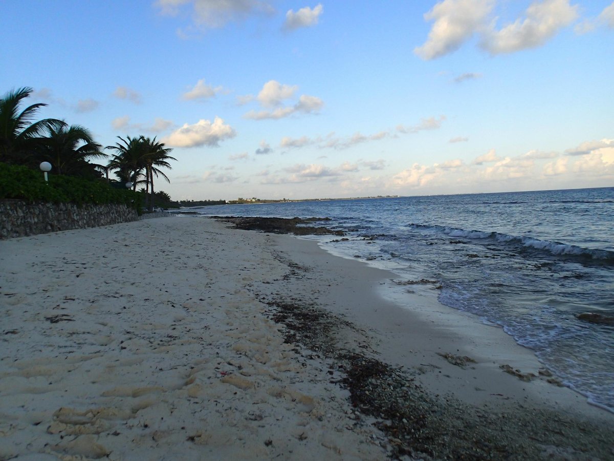 Northern Lights 5 - Prices & Villa Reviews (grand Cayman, Cayman Islands)