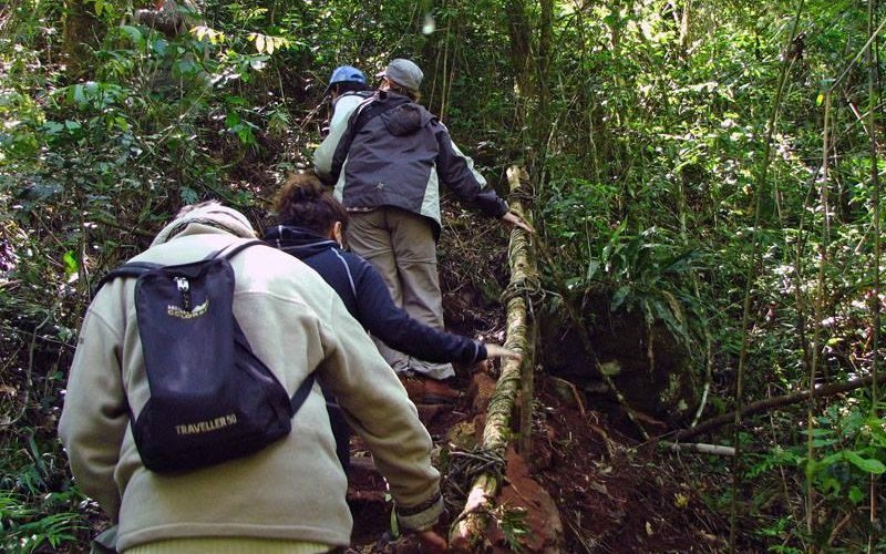 Sendero guiado