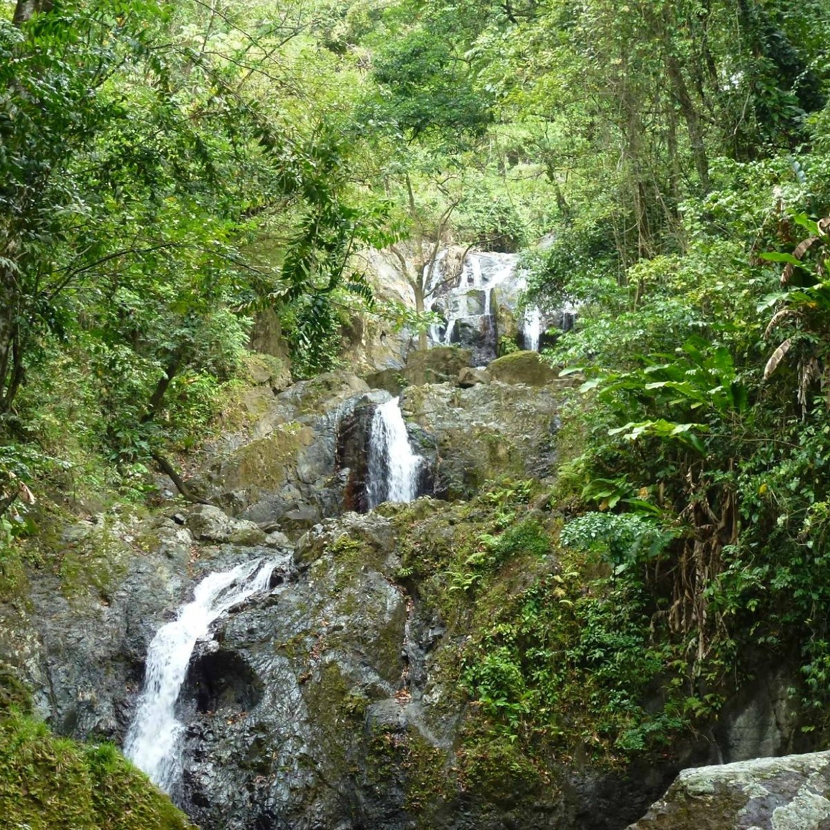 Argyle Waterfall (Scarborough): All You Need to Know