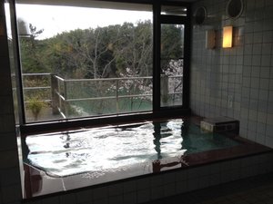 旅行者の写真