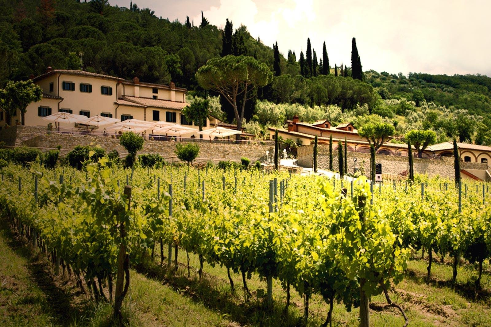 THE 5 BEST Arezzo Wineries Vineyards Updated 2024