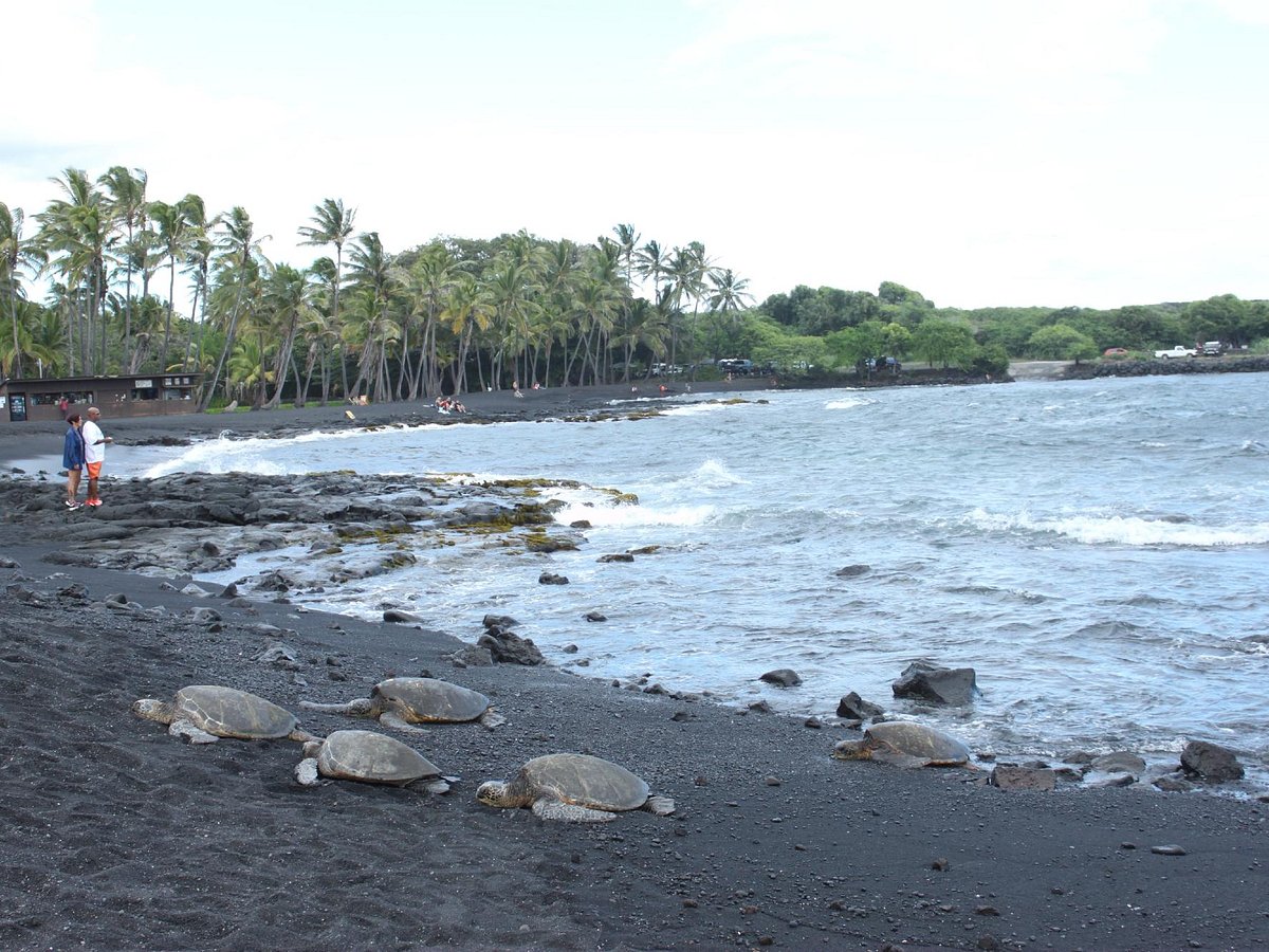 Mauka Makai Adventures (Hilo) - All You Need to Know BEFORE You Go