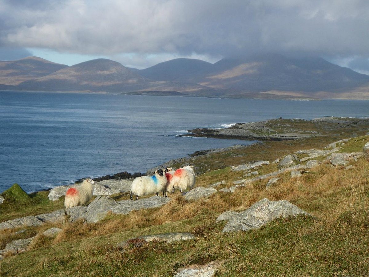 Mike Briggs Hillwalking (Isle of Harris) - All You Need to Know BEFORE ...