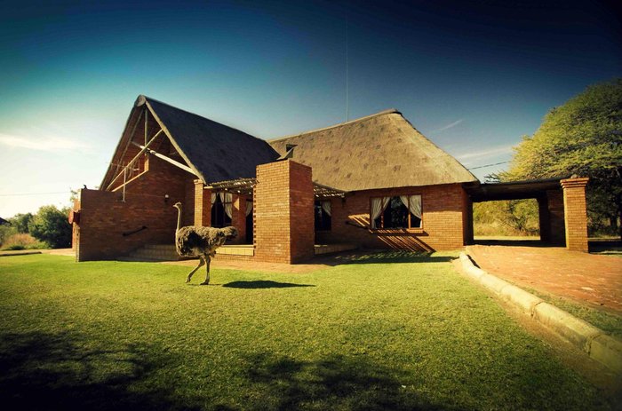 MONATENG SAFARI LODGE (Pretoria, Sydafrika) - Hytte - anmeldelser ...