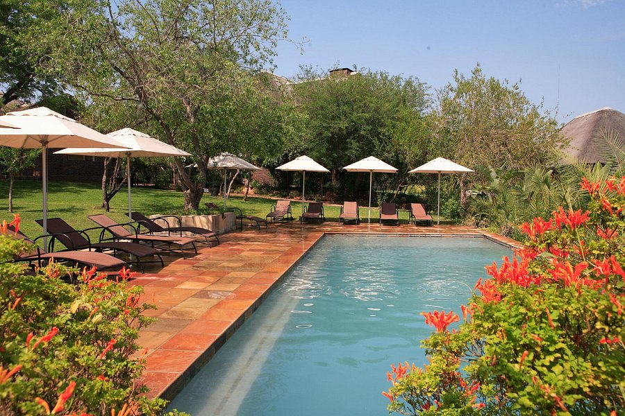 NGWENYA LODGE 2022 Prices & Reviews (South Africa/Komatipoort