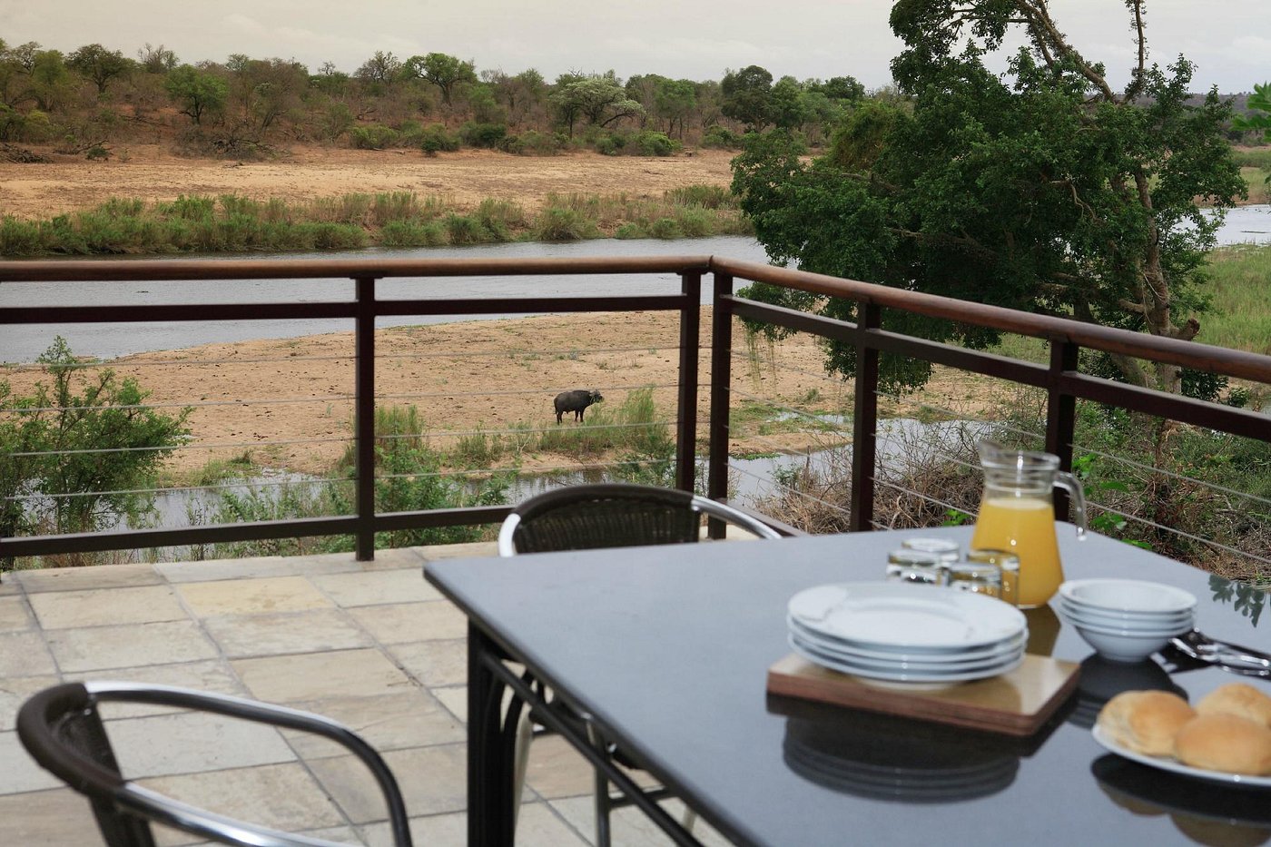 Ngwenya Lodge Rooms Pictures And Reviews Tripadvisor