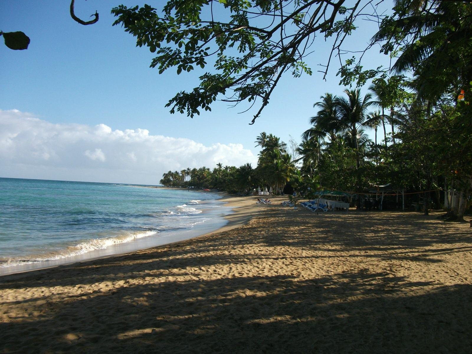 2022 O Que Fazer Em Samana Province Os 10 Melhores Pontos Turísticos Tripadvisor 3522