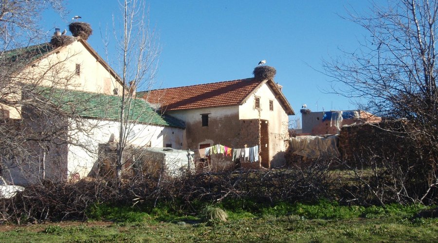 Omgivningen runt campingen
