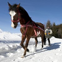 Ski Joering