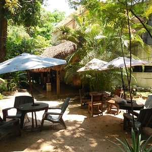 JUNGLE PALACE (PALENQUE, MÉXICO): 57 fotos e avaliações - Tripadvisor