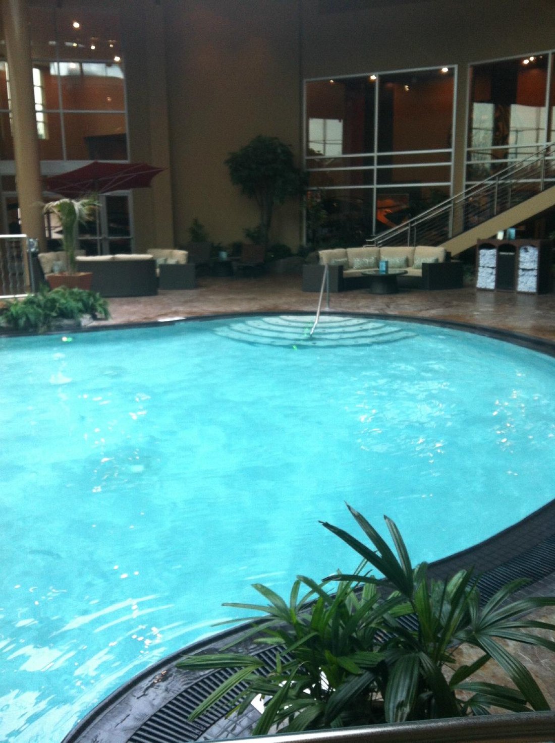 Tulalip Resort Casino Pool: Pictures Reviews Tripadvisor