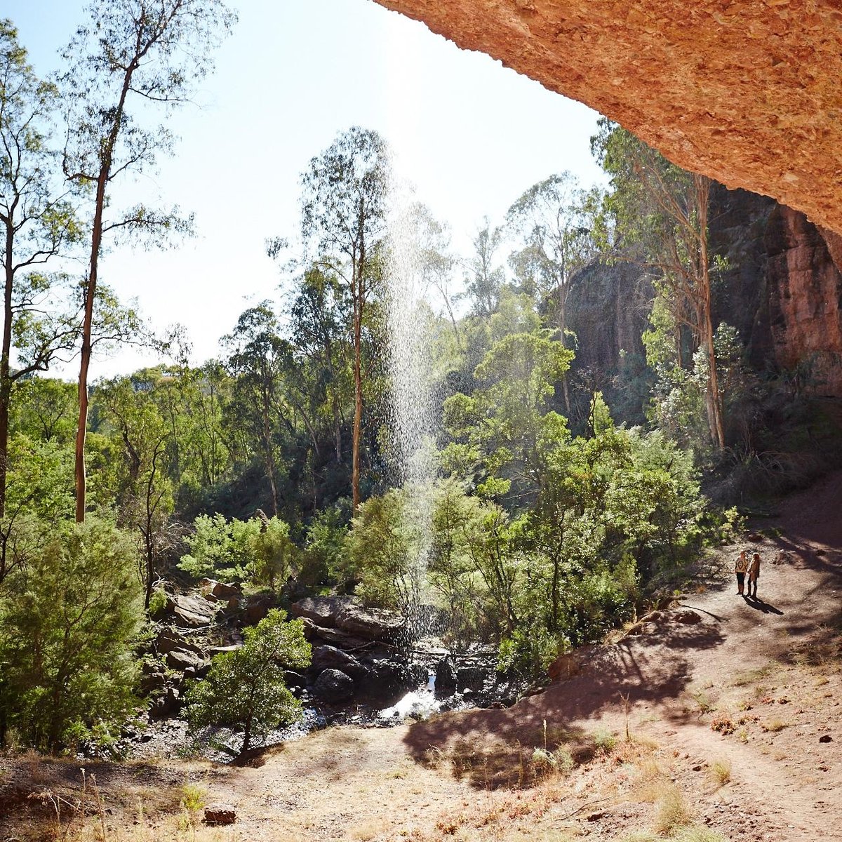 Paradise Falls - Victoria's High Country