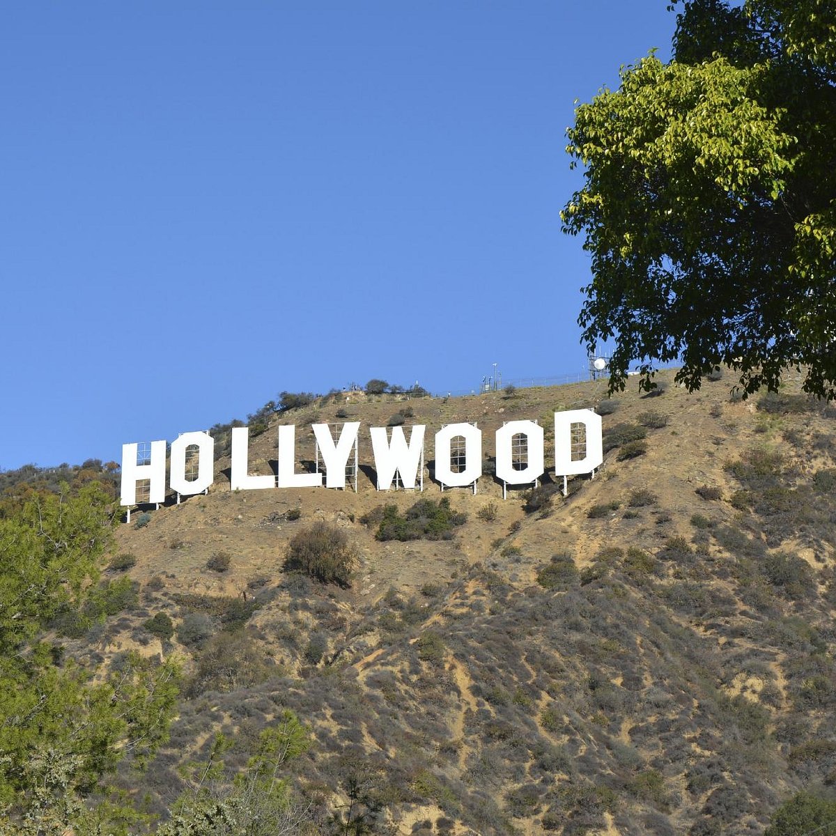 Hollywood - All You Need to Know BEFORE You Go (2024)